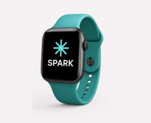 Spark Watch